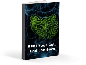 Heal Your Gut End the Burn eBook bonus on reflux